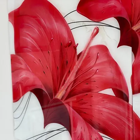 Admiral Plaza C52 Sunny Daire Sunny Beach